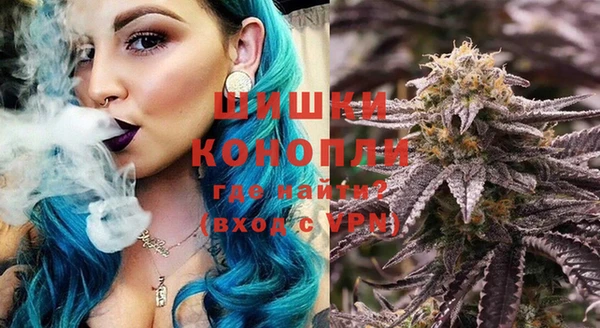 PSILOCYBIN Богданович