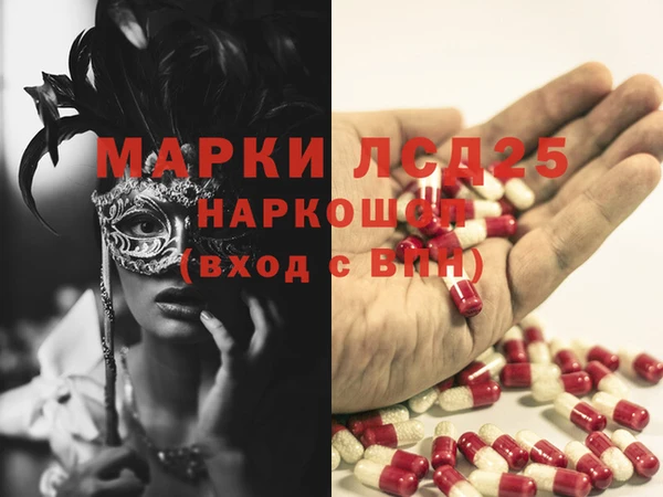 PSILOCYBIN Богданович