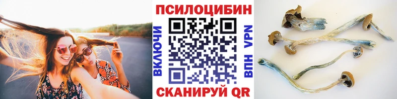 Галлюциногенные грибы мухоморы  Новотроицк 